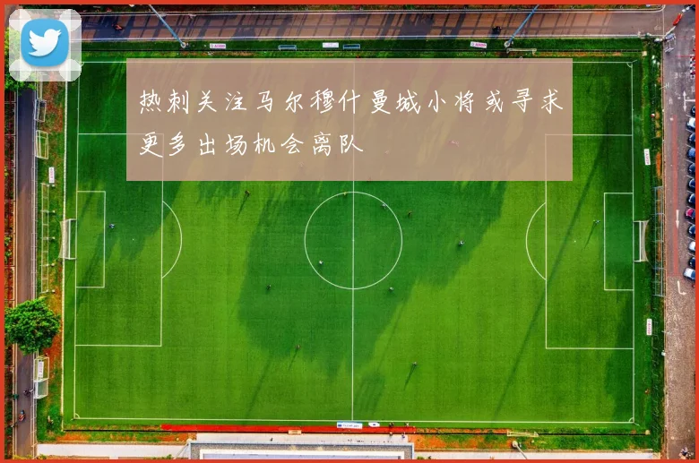 热刺关注马尔穆什曼城小将或寻求更多出场机会离队