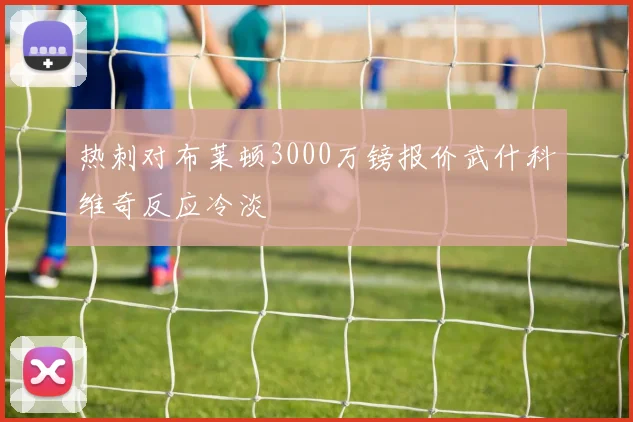 热刺对布莱顿3000万镑报价武什科维奇反应冷淡