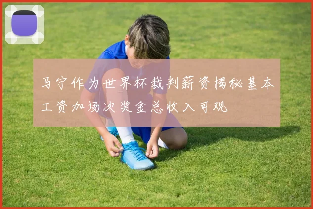马宁作为世界杯裁判薪资揭秘基本工资加场次奖金总收入可观